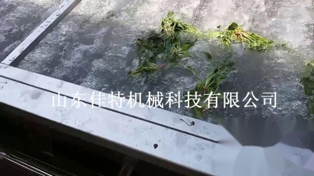 江蘇圣女果去雜清洗機 自動化生產(chǎn)的果蔬清洗機