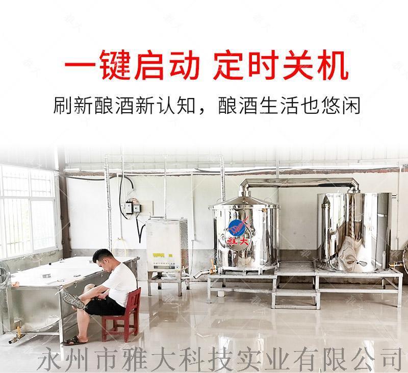 雅大新型電加熱釀 設備200斤廠家直供