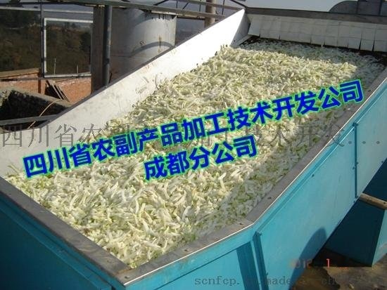 蘿卜烘干機，蘿卜干快速烘干機
