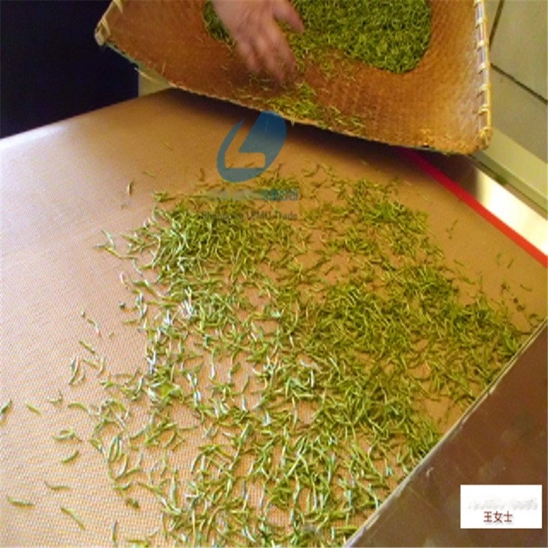 金銀花殺青烘干設(shè)備|隧道式微波設(shè)備