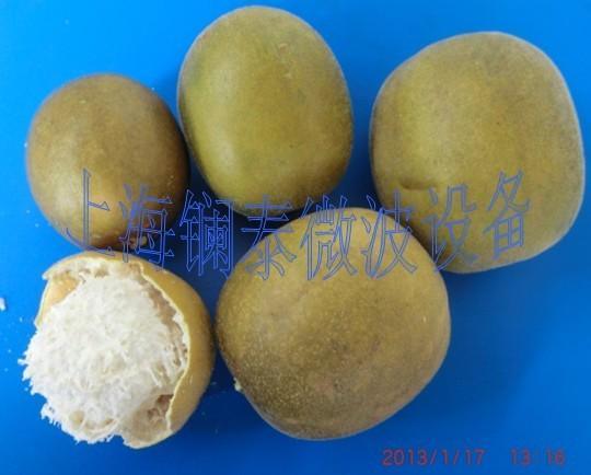 微波干燥烘干設(shè)備