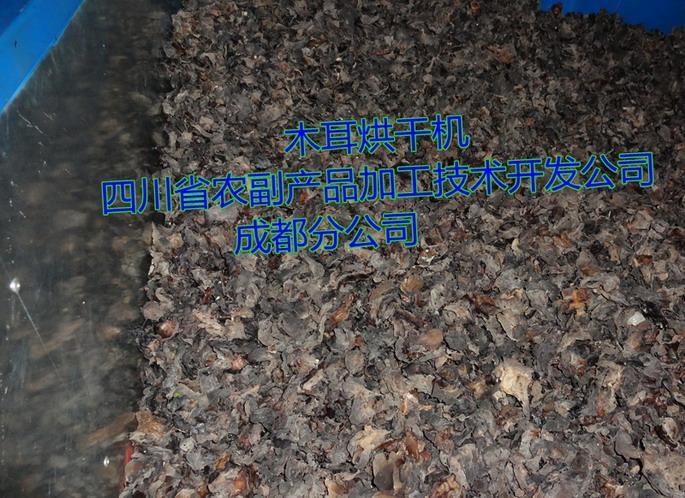 木耳烘干機(jī)，黑木耳烘干機(jī)，木耳快速烘干機(jī)