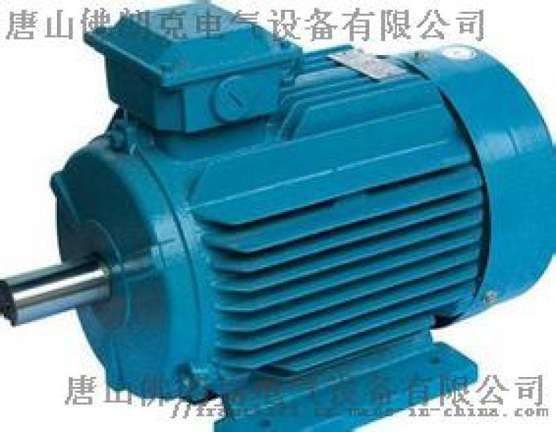 佛朗克FRPM28055永磁同步電機