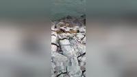 膨脹劑 無(wú)聲破碎劑 靜態(tài)破碎裂石劑