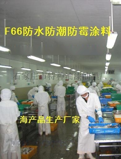 勝發66防霉涂料食品車間