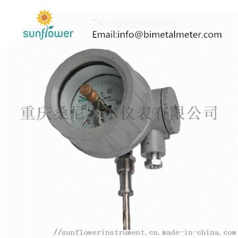 WSSX-411-B 防爆雙金屬溫度計(jì)帶電接點(diǎn)