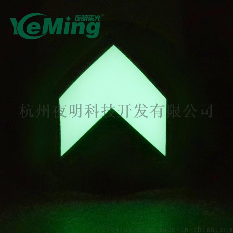 樓梯立面自發光導向標識火災緊急出口發光引導標識