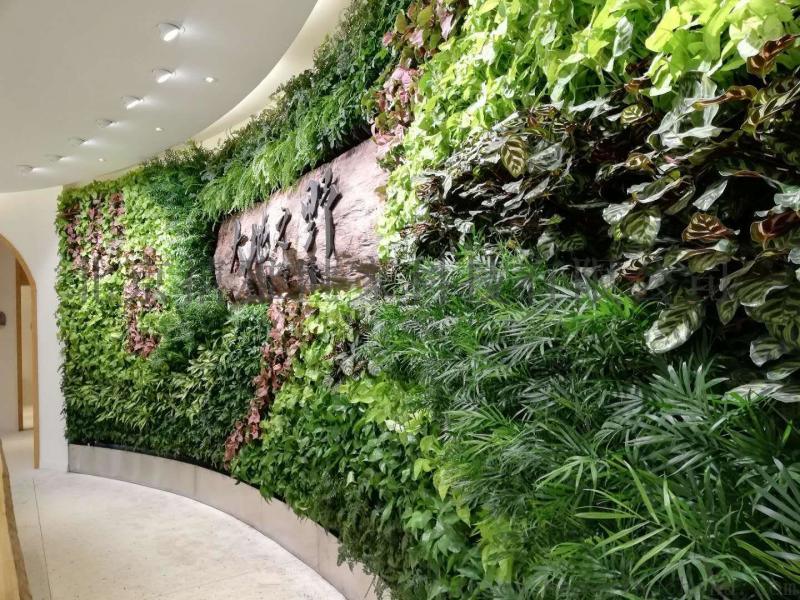 禧雅世家無土滴灌綠植墻，垂直綠化,無土栽培墻體綠化