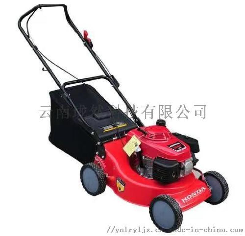 草坪機進口割草機本田GXV160汽油機剪草機